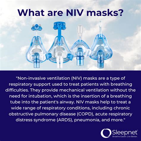 ntivb what is it|About the NIV .